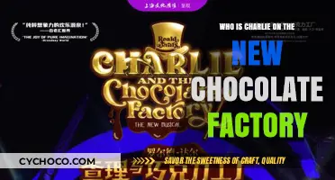 Unveiling Charlie: The New Face of Chocolate Factory Magic
