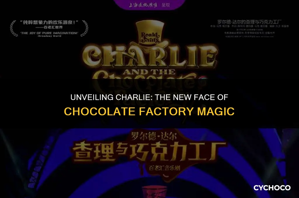 who is charlie on the new chocolate factory