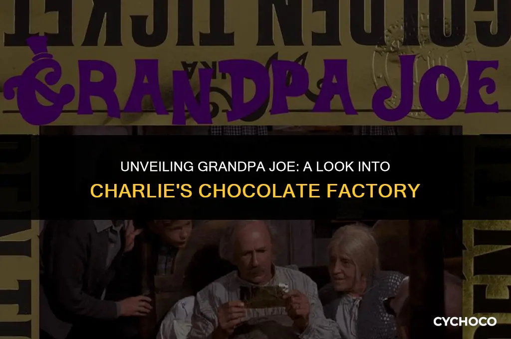 who is grandpa joe in charlie and the chocolate factory