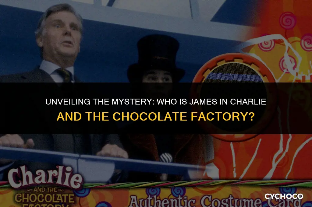 who is james in charlie and the chocolate factory