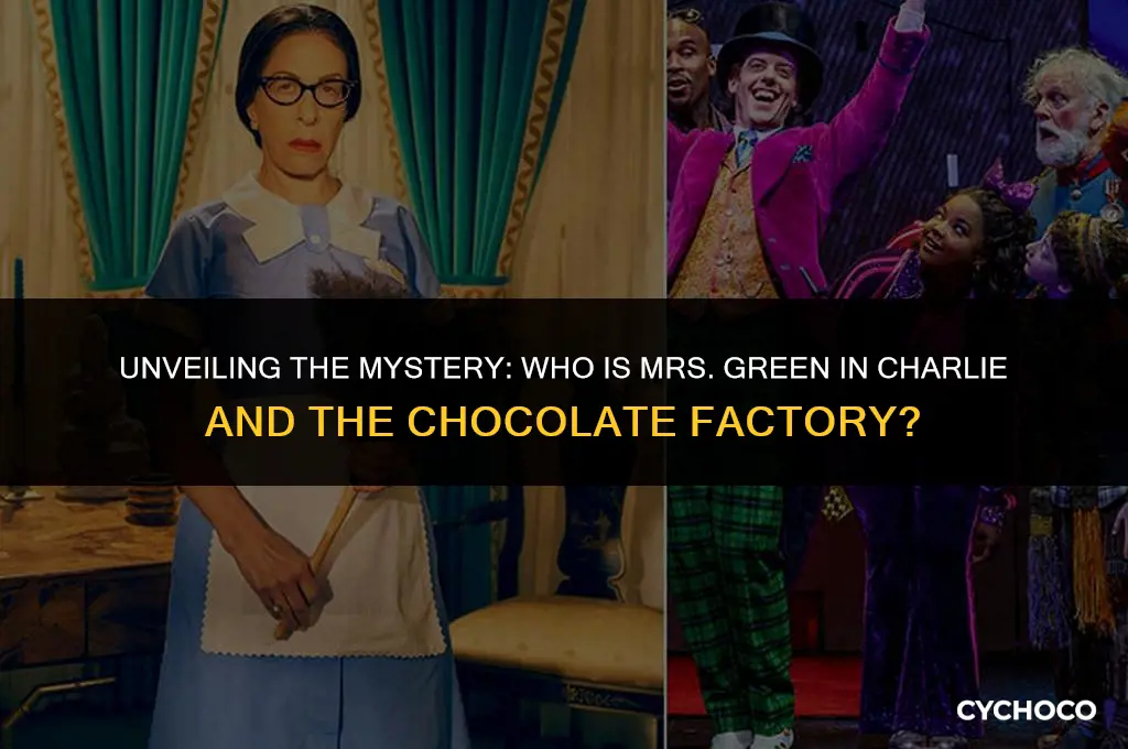 who is mrs green in charlie and the chocolate factory