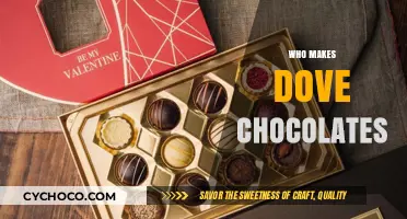 Who Makes Dove Chocolates? Uncovering the Sweet Story Behind the Brand