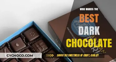 Indulge in Decadence: Unveiling the Finest Dark Chocolate Artisans