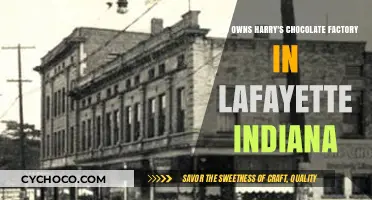 Unveiling the Sweet Secrets: Who Owns Harry's Chocolate Factory in Lafayette, Indiana?