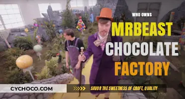 Unveiling the Mystery: Who's Behind MrBeast's Chocolate Empire?