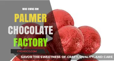 Unveiling the Sweet Secrets: Who Owns RM Palmer Chocolate Factory?