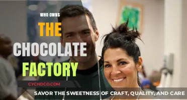 Unveiling the Sweet Secrets: Who Really Owns the Chocolate Factory?