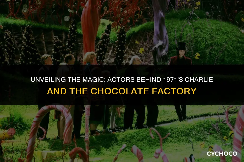 who played charlie and the chocolate factory 1971