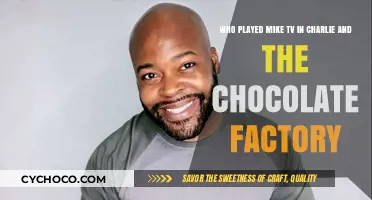 Unwrapping the Mystery: Who Played Mike TV in Charlie and the Chocolate Factory?