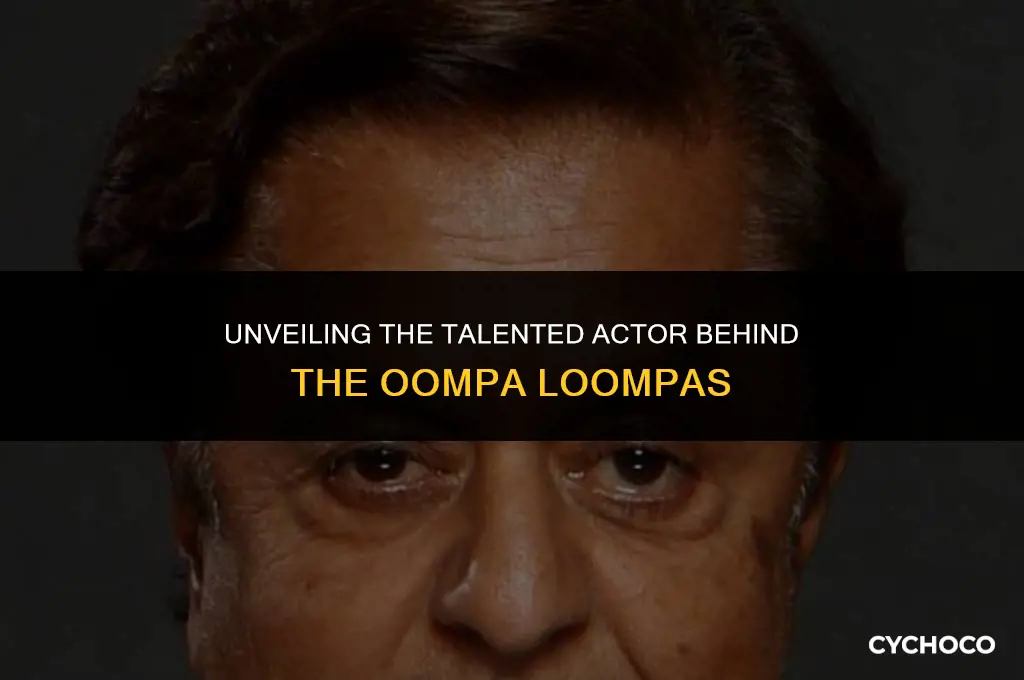 who played oompa loompa in charlie and the chocolate factory