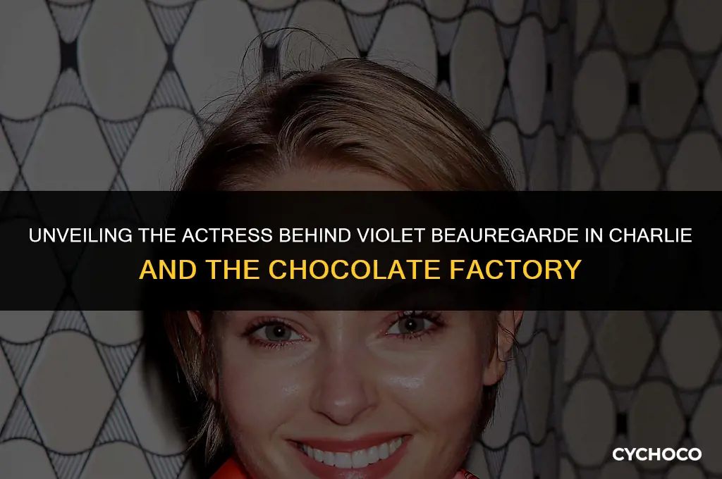 who played violet from charlie and the chocolate factory