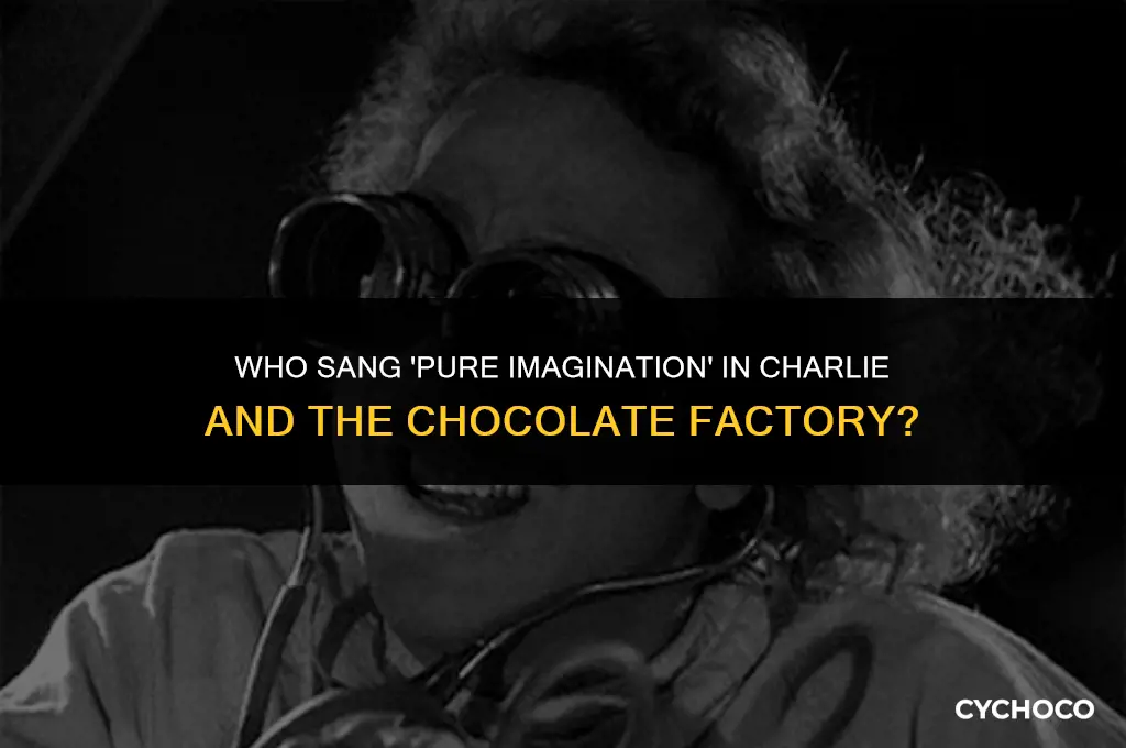 who sang pure imagination in charlie and the chocolate factory