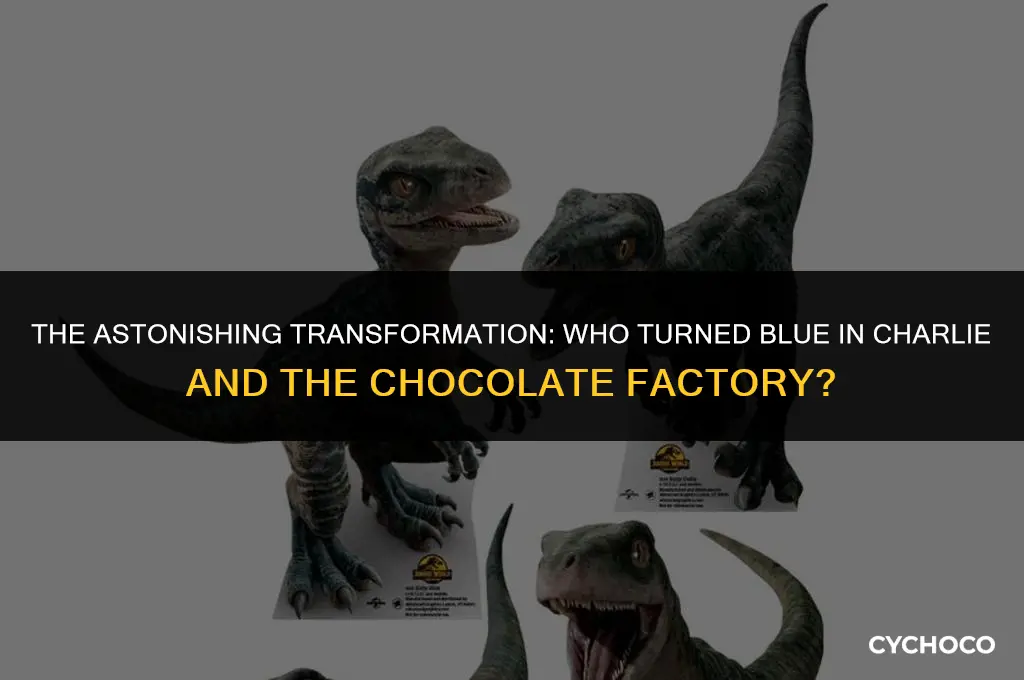 who turned blue in charlie and the chocolate factory