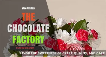 Sweet Surprises: Unveiling the Chocolate Factory's Illustrious Guests