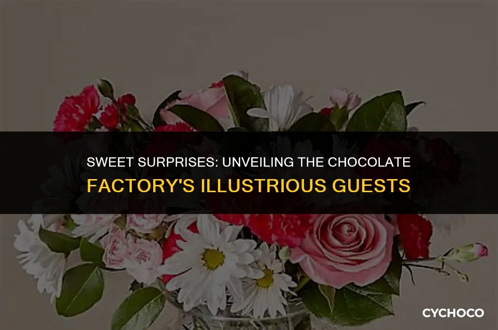 who visited the chocolate factory