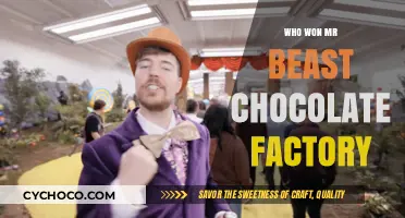 Unveiling the Winner of MrBeast's Chocolate Factory Challenge!