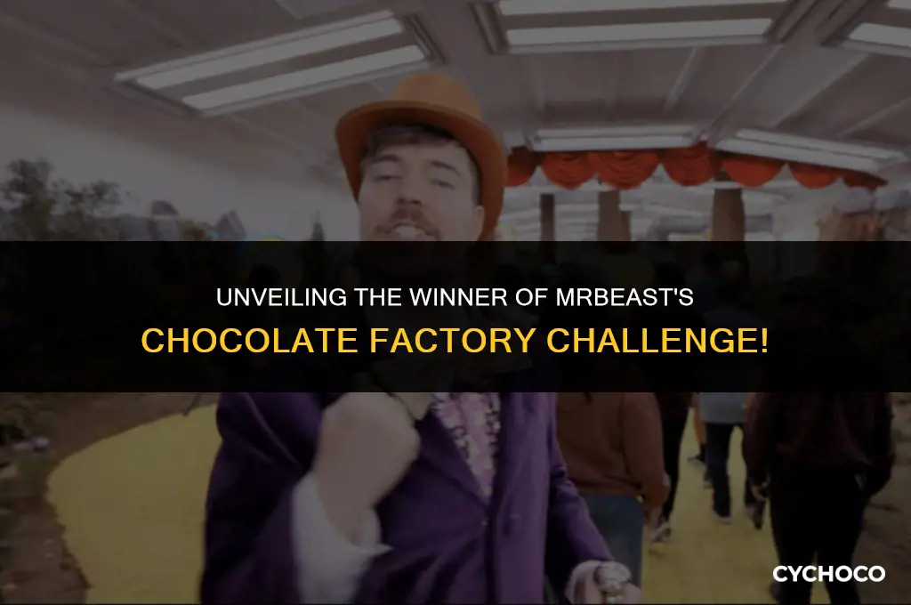 who won mr beast chocolate factory