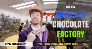Unveiling the Winner of MrBeast's Chocolate Factory Challenge