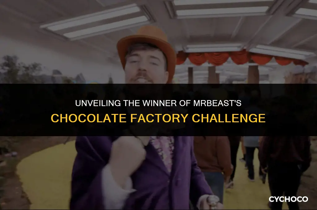 who won mrbeast chocolate factory