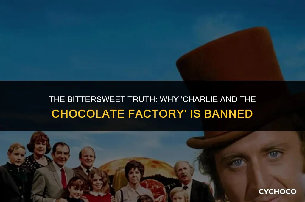 why charlie and the chocolate factory is band