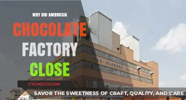 The Sweet Demise: Unraveling the Closure of Ambrosia Chocolate Factory
