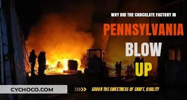 The Shocking Truth Behind the Pennsylvania Chocolate Factory Explosion