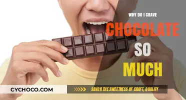 Decoding Chocolate Cravings: Understanding the Science Behind Your Sweet Tooth