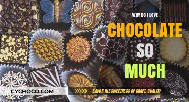 The Sweet Science: Unraveling My Chocolate Obsession
