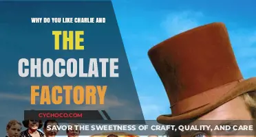 The Sweet Enchantment: Why Charlie and the Chocolate Factory Captivates Us