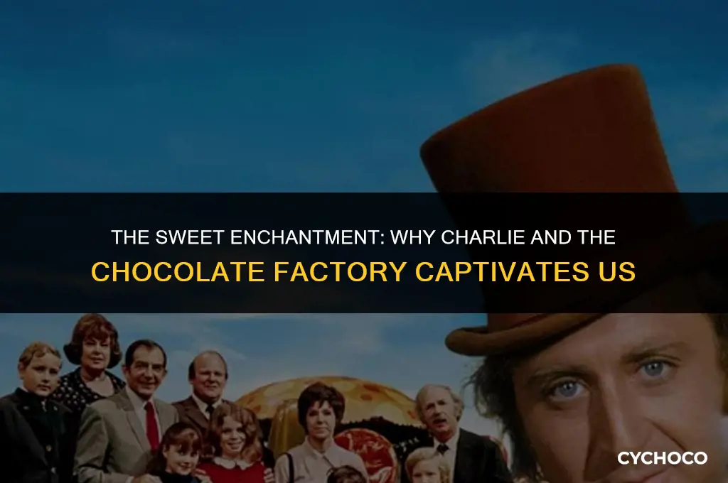 why do you like charlie and the chocolate factory