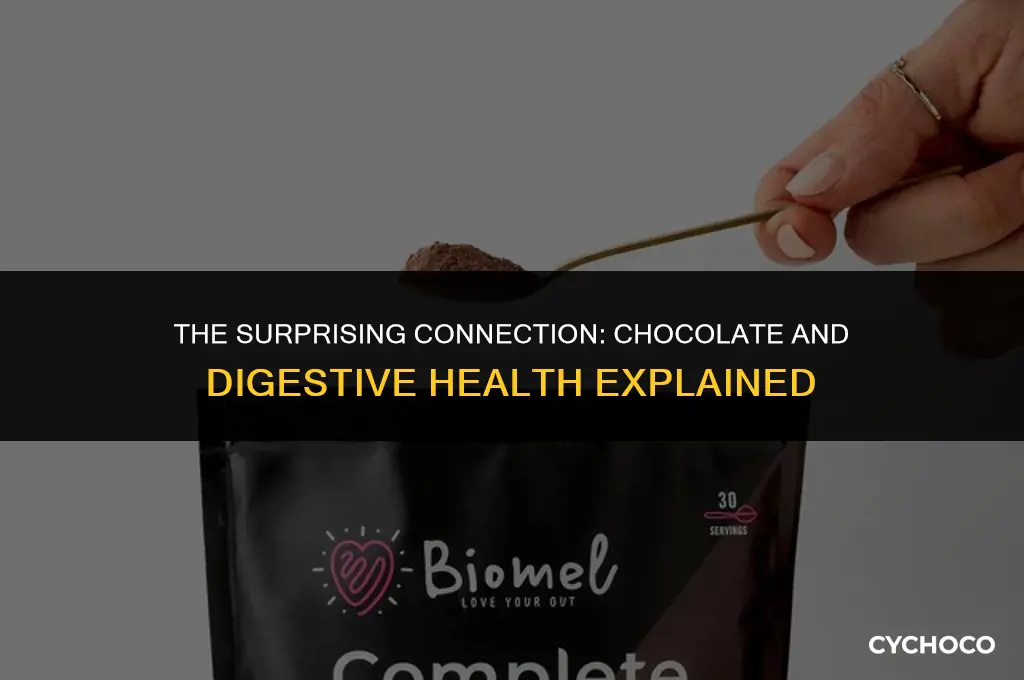 why does chocolate make me poop