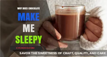 Unraveling the Mystery: Why Chocolate Might Make You Sleepy