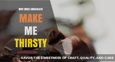 The Surprising Science Behind Chocolate Cravings and Thirst