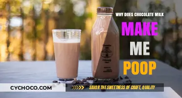 The Surprising Connection: Chocolate Milk and Digestive Health