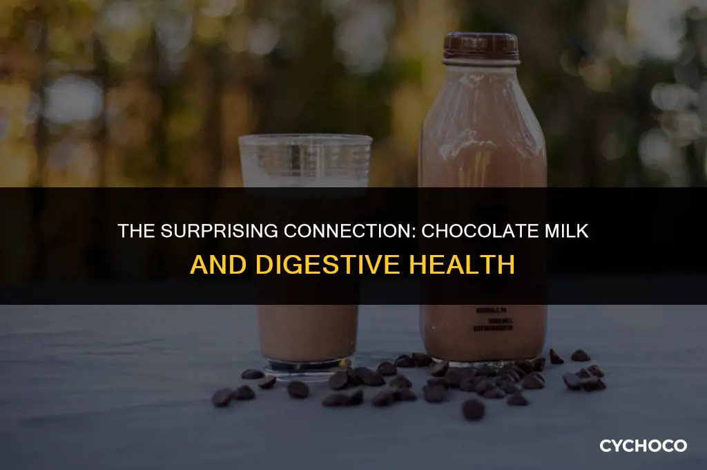 why does chocolate milk make me poop