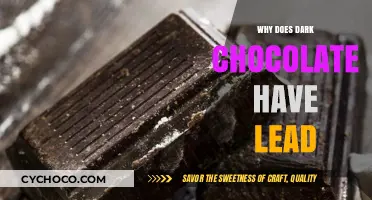 Unsweetened Truth: The Surprising Presence of Lead in Dark Chocolate