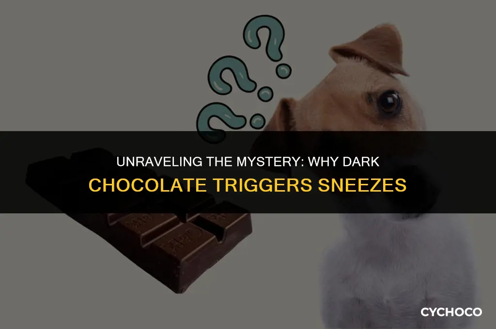why does dark chocolate make me sneeze