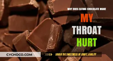 Chocolate Conundrum: Understanding the Link Between Chocolate and Throat Discomfort
