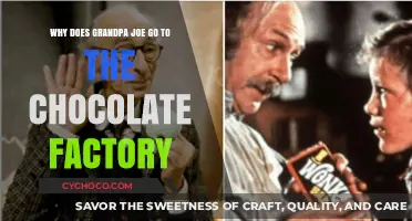 Sweet Nostalgia: Grandpa Joe's Chocolate Factory Visits