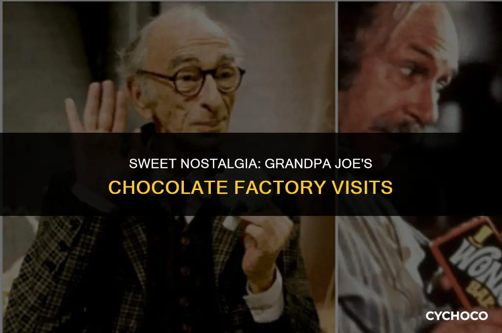 why does grandpa joe go to the chocolate factory