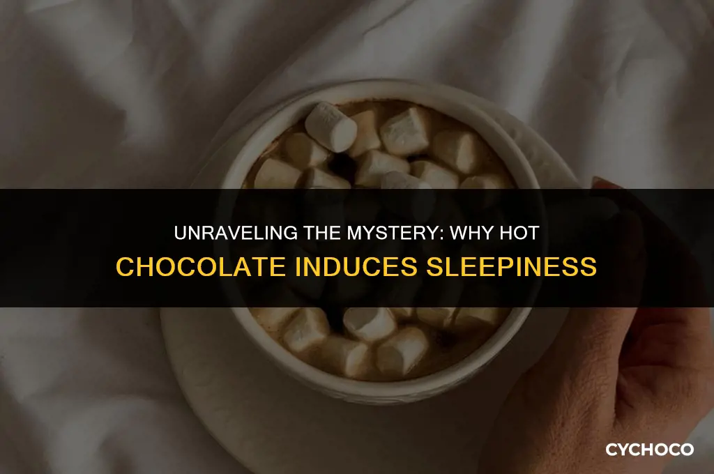 why does hot chocolate make me sleepy