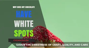 Why Your Chocolate Has White Spots: Causes and Solutions Explained