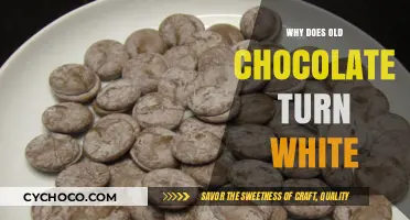 The Mystery of Aging Chocolate: Why Does Old Chocolate Turn White?