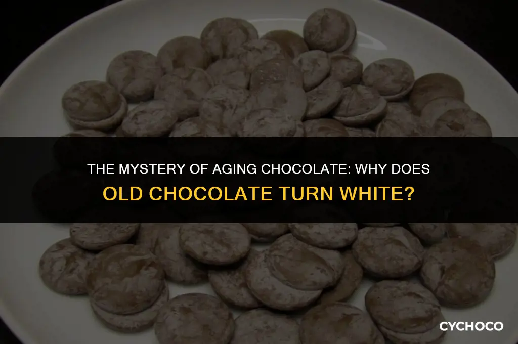 why does old chocolate turn white