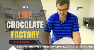 Sweet Success: My Love Affair with the Chocolate Factory