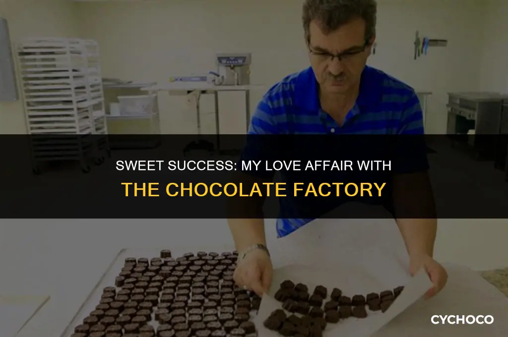 why i like chocolate factory