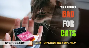 Chocolate's Hidden Dangers: Why It's Harmful to Your Feline Friend