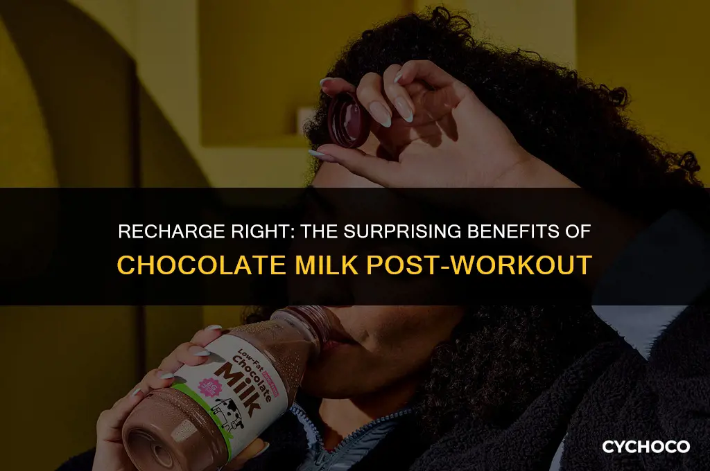 why is chocolate milk best after a workout