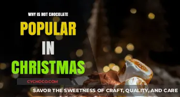 Festive Warmth: The Timeless Charm of Hot Chocolate at Christmas