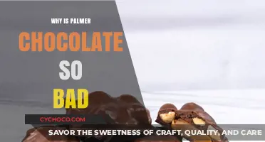 Why Palmer Chocolate Fails to Impress: A Critical Review